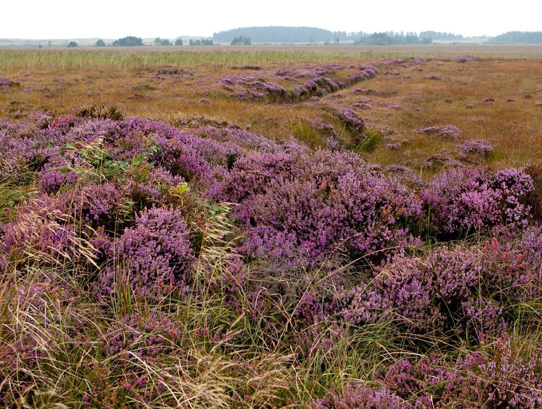 Tweed Suits, Jackets & Blazers Bespoke, Made To Measure & Tailored